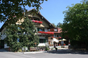 Отель Steiner Wirt  Тифенбах